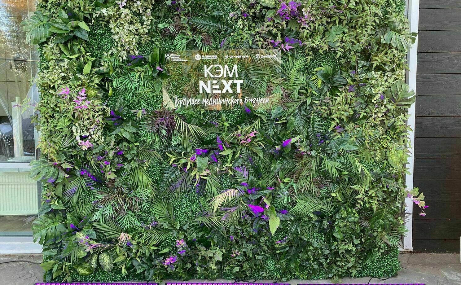 Фотозона фитостена Фотозона фитостена