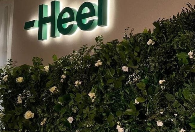 Фотозона с зеленью и неоном Фотозона с зеленью и неоном