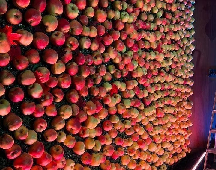 Фотозона осенняя с яблоками Фотозона осенняя с яблоками