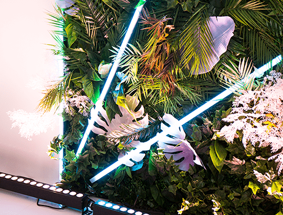 Фотозона фитостена тропики с неоном Фотозона фитостена тропики с неоном