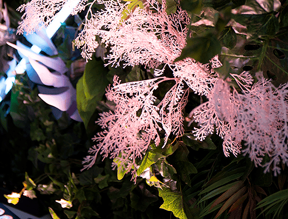 Фотозона фитостена тропики с неоном Фотозона фитостена тропики с неоном