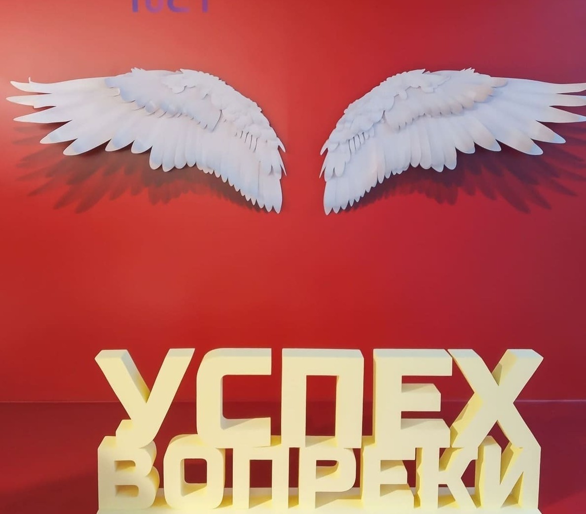 Фотозона с крыльями Фотозона с крыльями