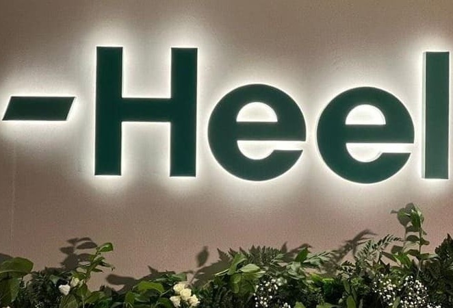 Фотозона с зеленью и неоном Фотозона с зеленью и неоном