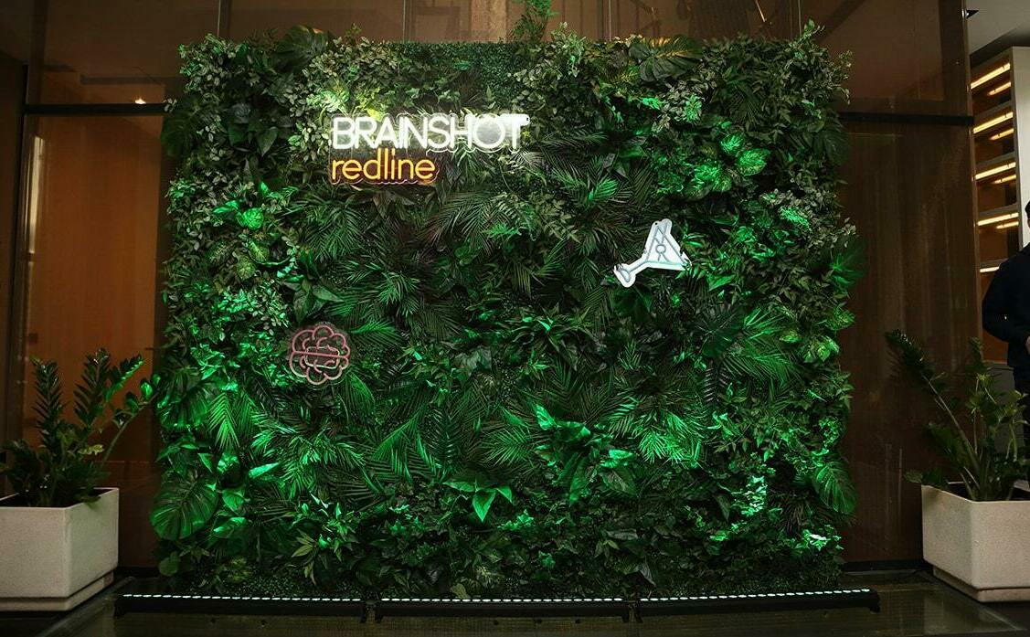 Фотозона фитостена Фотозона фитостена