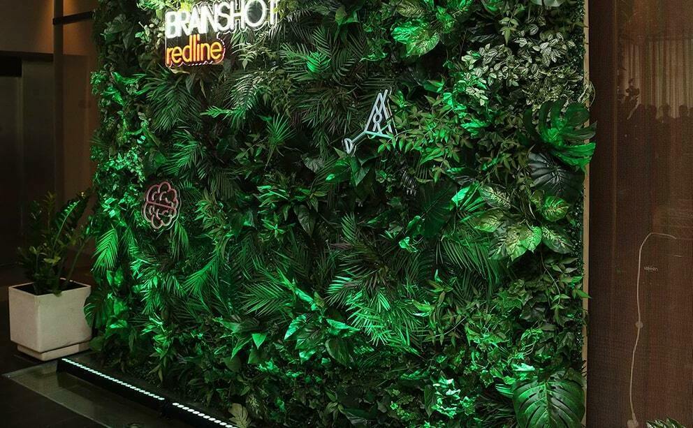 Фотозона фитостена Фотозона фитостена