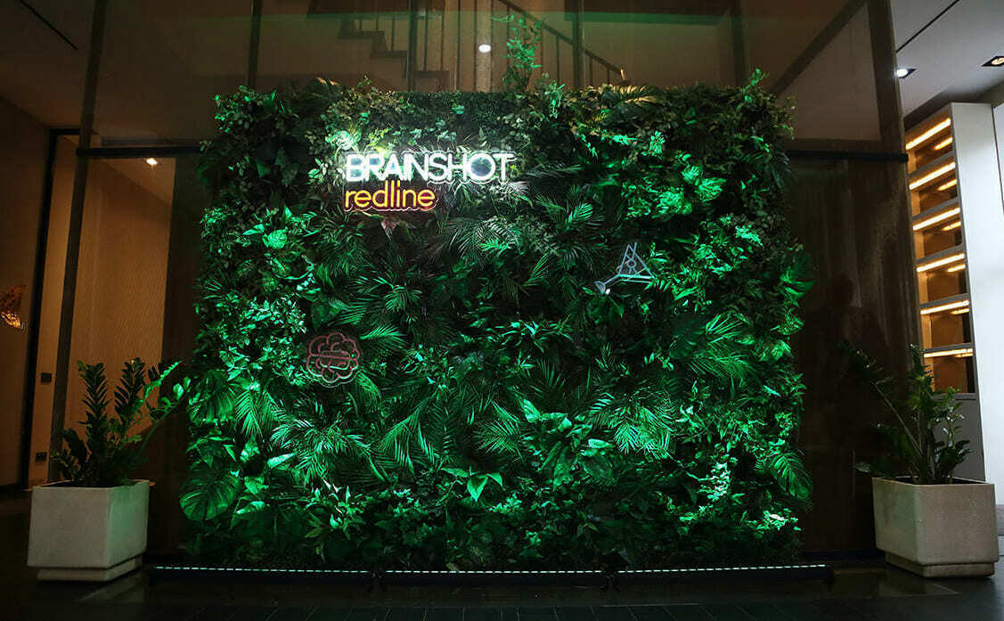 Фотозона фитостена Фотозона фитостена