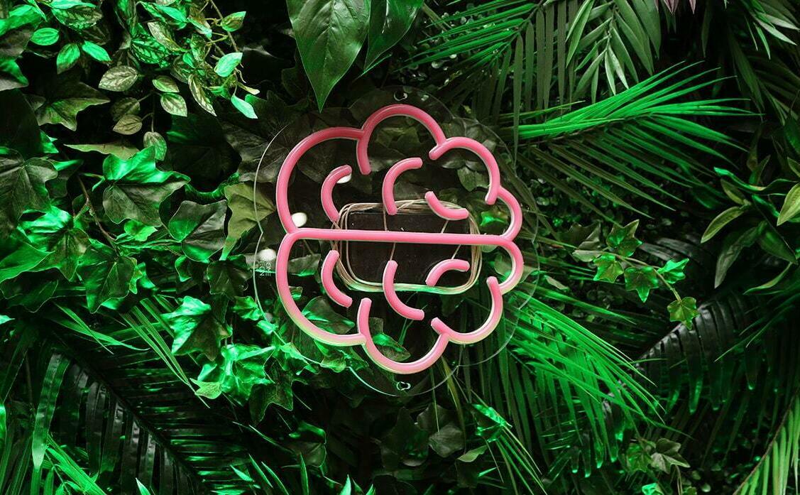 Фотозона фитостена Фотозона фитостена