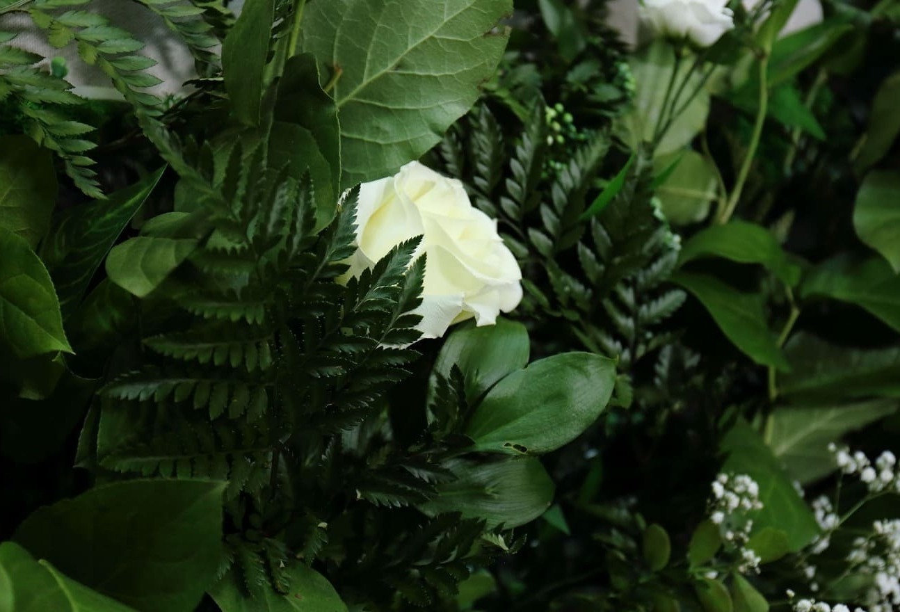 Фотозона с зеленью и неоном Фотозона с зеленью и неоном