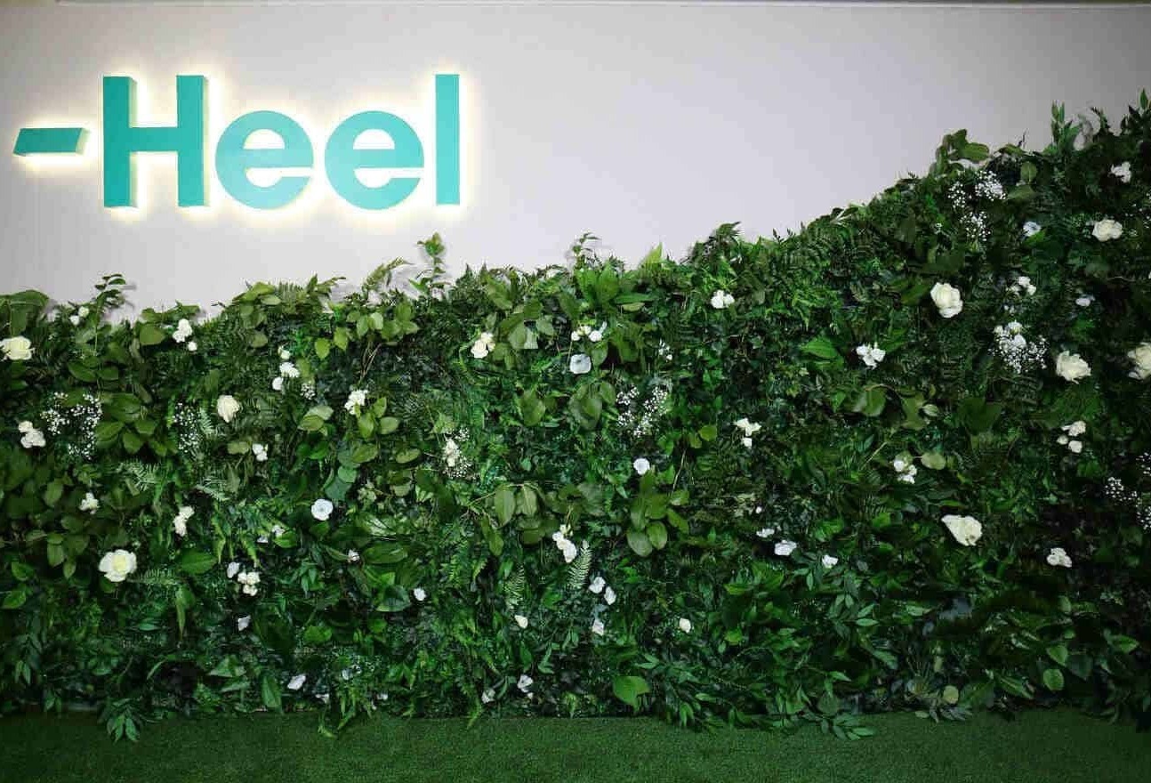 Фотозона с зеленью и неоном Фотозона с зеленью и неоном