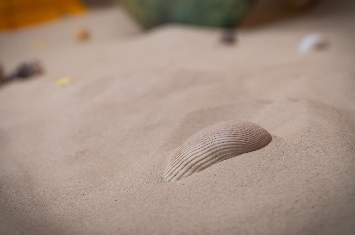 Фотозона серфинг Фотозона серфинг