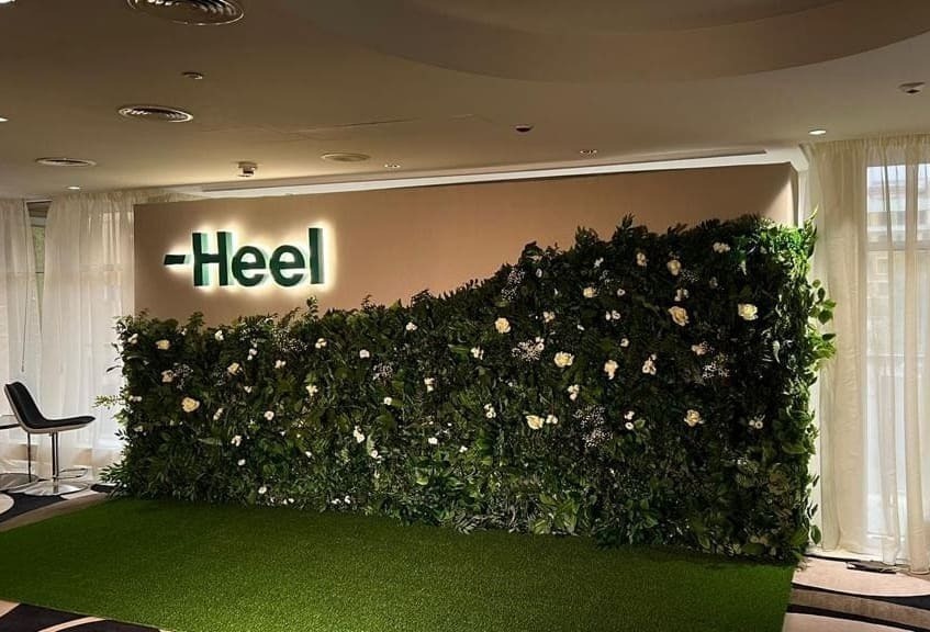 Фотозона с зеленью и неоном Фотозона с зеленью и неоном