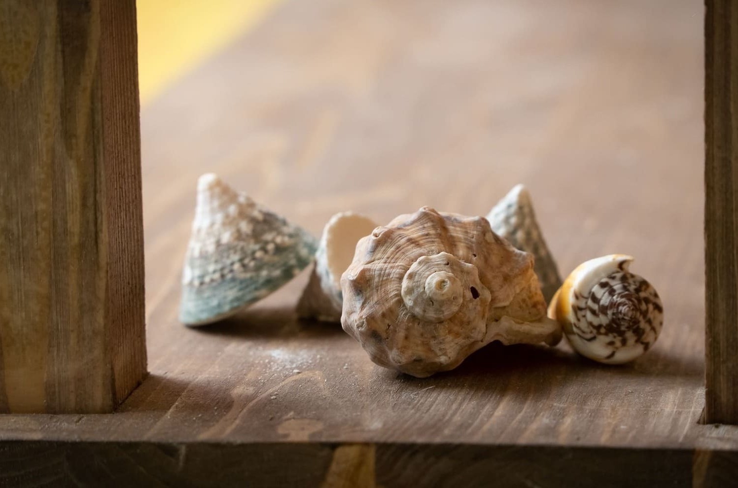 Фотозона серфинг Фотозона серфинг