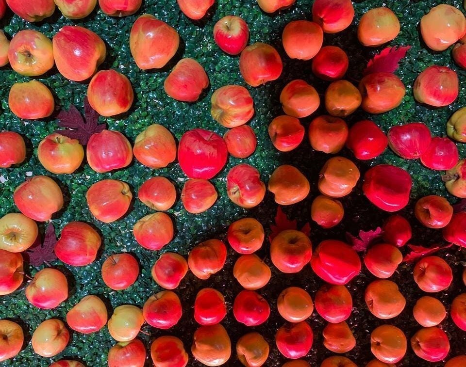 Фотозона осенняя с яблоками Фотозона осенняя с яблоками